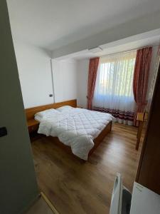 TushemishtHotel Tirona的一间卧室设有一张大床和一个窗户。