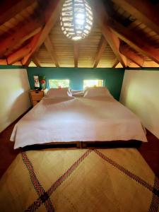 特隆戈内斯Troncones Point Hostel的卧室配有一张带吊灯的大型白色床。