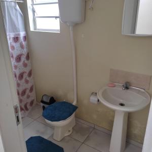 佩洛塔斯Pousada Casa Valério的一间带卫生间和水槽的小浴室