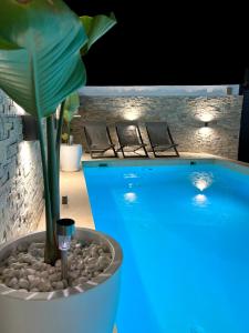 阿德耶Luxury house Atlantico private heated pool的游泳池旁的锅里的植物
