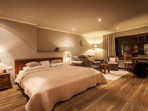 巴登韦勒登日浪漫酒店的一间带大床的卧室和一间客厅