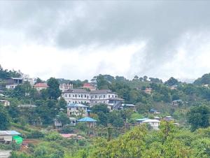 格劳Hinode Hotel ဟိနောဒေ့ဟိုတယ်的山丘上的小镇,有房子和树木