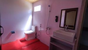 KakstetThe Ladakh Cottage Pangong, Lake View的浴室配有白色卫生间和盥洗盆。