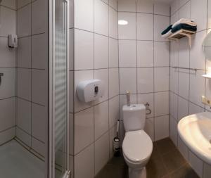 斯容代克Hotel de Zwaan的一间带卫生间和水槽的浴室