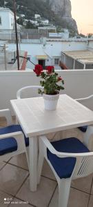 卡普里Cataldo Guest House的阳台上的白色桌子上放着盆栽植物