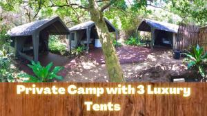 Ponta MalanganeSky Island Resort的私人营地,在树林中提供豪华帐篷