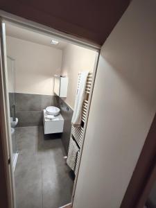 阿尔巴La pajassa 22的一间带卫生间和水槽的小浴室