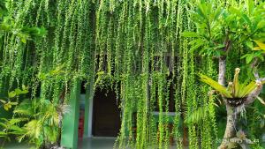 库塔PURNAMA HOUSE KUTA的一座被绿色植物覆盖的墙