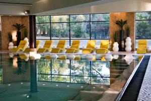 阿卡雄Thalazur Arcachon - Hôtel & Spa的一座带黄色椅子的游泳池