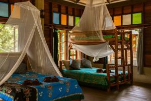 考索Monkey Mansion - Jungalows & Tours的一间卧室设有两张双层床和蚊帐。