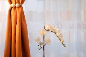 维罗纳LeNotti Verona的窗帘前有花的花瓶
