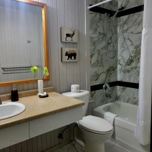沃瓦High Falls Motel & Cabins的浴室配有盥洗盆、卫生间和浴缸。