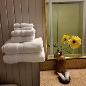 沃瓦High Falls Motel & Cabins的镜子浴室里的毛巾