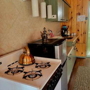 沃瓦High Falls Motel & Cabins的厨房配有炉灶和茶壶