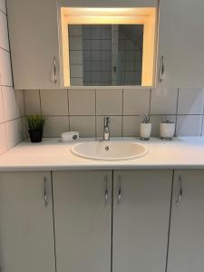 瓦埃勒Lille Vedelsborg的浴室的柜台设有水槽和镜子