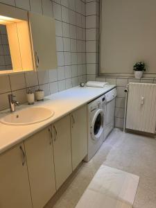 瓦埃勒Lille Vedelsborg的一间带水槽和洗衣机的浴室