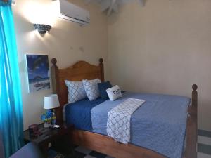 Tortola IslandMore Than Beauty Properties的一间卧室配有一张带蓝色棉被的床
