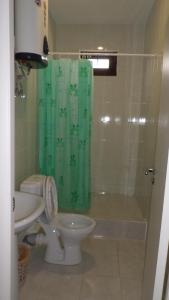 苏呼米Laura的浴室设有卫生间和绿色淋浴帘。