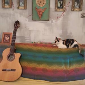 GualeguaychúHabitaciones en casa encantada para viajeros的一只猫躺在吉他旁边的彩虹毯子上