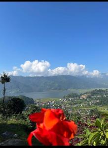 KāskīInto The Wild Pokhara的红花坐在山顶上,有湖泊