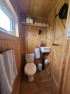 绿岛The Shepherds Hut at Forestview Farm的一间带卫生间和水槽的小浴室