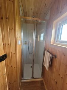 绿岛The Shepherds Hut at Forestview Farm的木制浴室设有淋浴和玻璃淋浴间