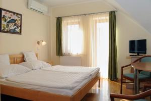 哈卡尼豪尔卡尼阿梅蒂斯茨酒店的一间卧室设有一张床、一台电视和一个窗口。