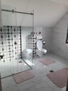 新瓦罗什Apartmani NINA Zlatar的一间带卫生间和玻璃淋浴间的浴室