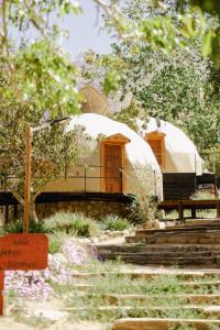 皮斯科艾齐Milodge Elqui Domos的花园中的大型圆顶帐篷
