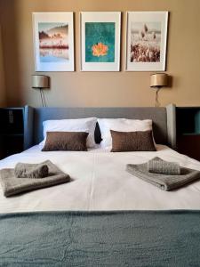 帕莱Nature Nest - Boutique Apartment - Ravna Planina的一张带两个枕头的大白色床