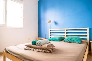 大加那利岛拉斯帕尔马斯Surf House Gran Canaria的一张带两个枕头和蓝色墙壁的床