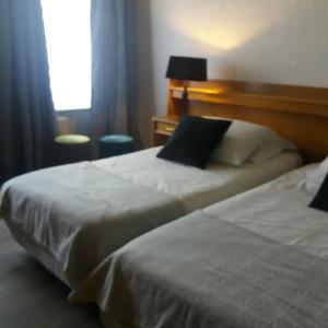 亨克黑尔特酒店的酒店客房设有两张床和窗户。