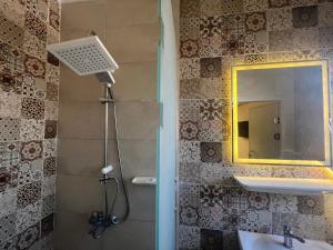 开罗Bedouin Pyramids View的带淋浴、盥洗盆和镜子的浴室