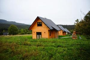 RoztokiDomki na polanie的绿草丛中的木屋