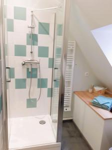 里尔Appartement 48m² / HyperCentre (Gares et Vieux Lille)的带淋浴和盥洗盆的浴室
