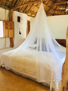 TzucacebEncantadora Villa Maya tradicional en Rancho Agroecologico的一间卧室配有一张带蚊帐的床