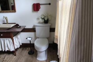 埃尔金斯Upstairs Historic 1 Bedroom 1 Bath Suite with Mini-Kitchen, Porch & River Views的浴室配有白色卫生间和盥洗盆。
