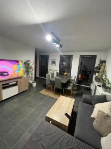 斯特拉斯堡Chambre chez l’habitant à Strasbourg的带沙发和平面电视的客厅