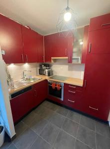 斯特拉斯堡Chambre chez l’habitant à Strasbourg的一间带红色橱柜和水槽的厨房