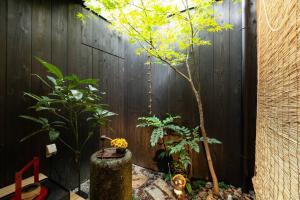 京都ゲストハウス至の宿 Shibainu-Themed Guesthouse的 ⁇ 旁花园中的一棵小树