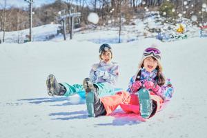 轻井泽轻井泽西王子酒店的两个孩子在雪地里乘雪橇