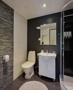 伊瓦洛Apartment Neitamo44的一间带卫生间、水槽和镜子的浴室