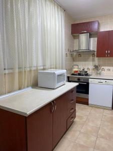 塔什干4-room apartment in the center of Tashkent的厨房在柜台上配有白色微波炉