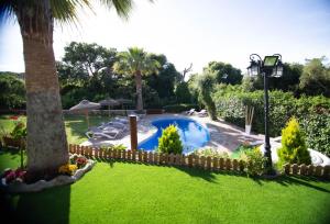 巴尔巴特Villa Giovanni的一个带游泳池和棕榈树的花园