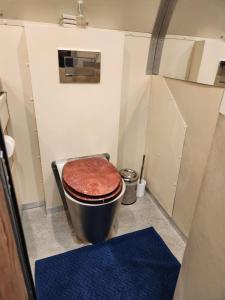 侯斯普瑞特AEROTEL VIP的一间小浴室,内设卫生间
