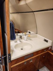 侯斯普瑞特AEROTEL VIP的一间带水槽和镜子的浴室