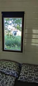 库福尔登Blokhut De Vlinder gelegen nabij het Pieterpad的一间有窗户的房间,草地上有一只奶牛