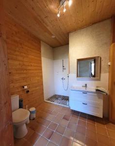 萨蒂列乌Le Grenier à Blé的浴室配有卫生间、盥洗盆和淋浴。
