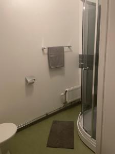 萨拉Hotell Silverborgen的带淋浴和卫生间的浴室以及地毯。