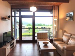 伏尔塔瓦河畔利普诺多奇假日公寓的带沙发和大窗户的客厅